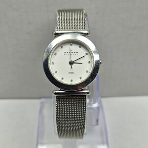 Womens Skagen Denmark Ultra Slim Silver Stainless Steel Mesh Watch New Battery